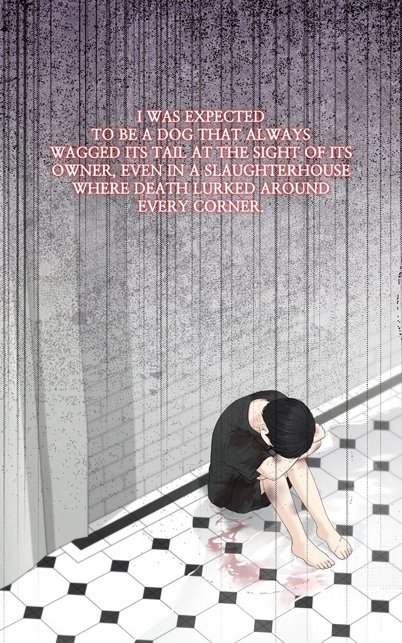 nothing Chapter 87 page 54 - 