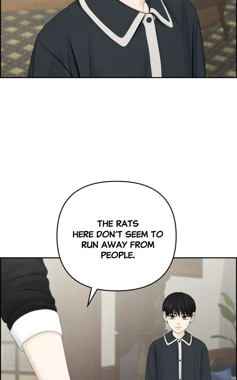 Read nothing chapter 88 image 22 on Lezhin