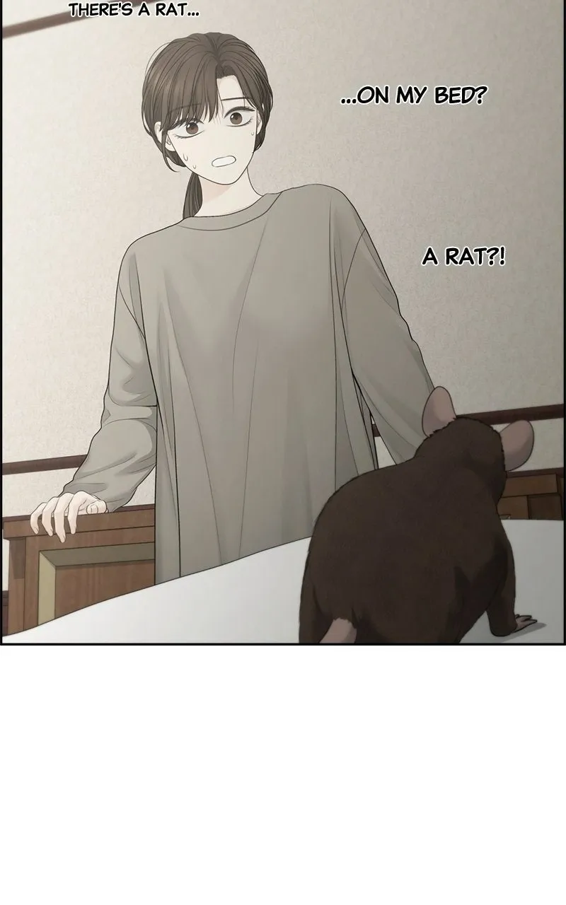 Read nothing chapter 88 image 7 on Lezhin