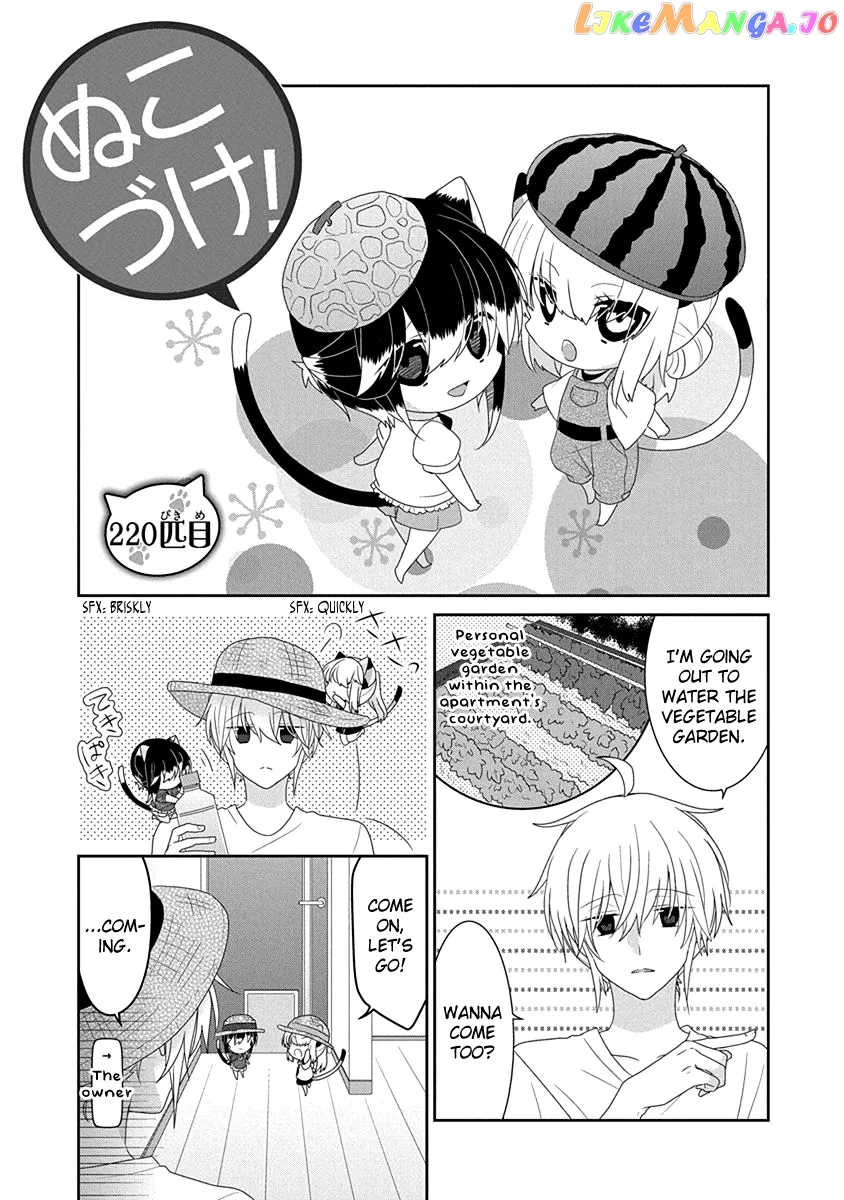 Read Nukoduke!  Manga chapter 220 image 1 on Lezhin