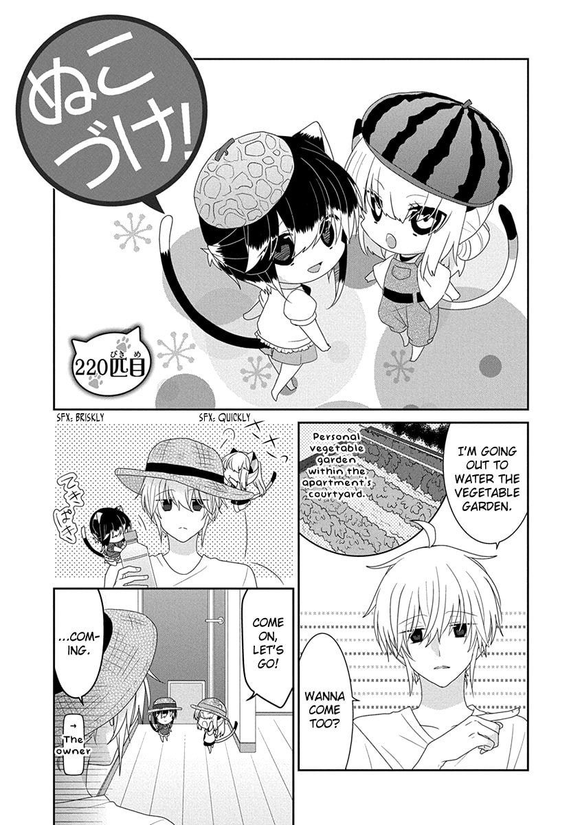 Read Nukoduke! chapter 168 image 1 on Lezhin