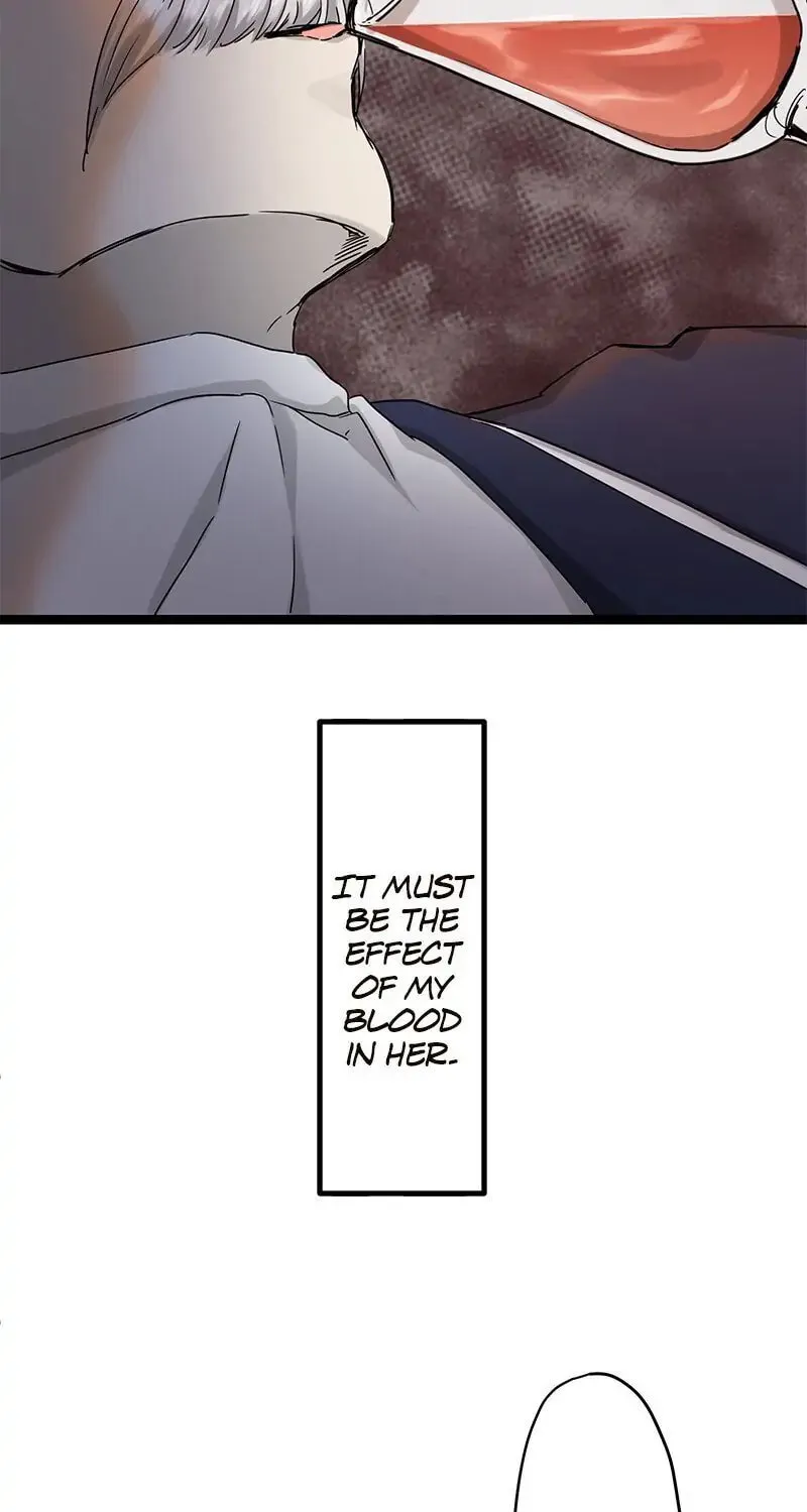 Nullitas ~The Counterfeit Bride~ Chapter 10 page 97 - 