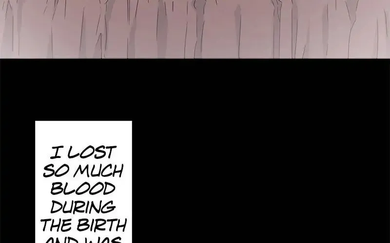 Nullitas ~The Counterfeit Bride~ Chapter 11 page 25 - 