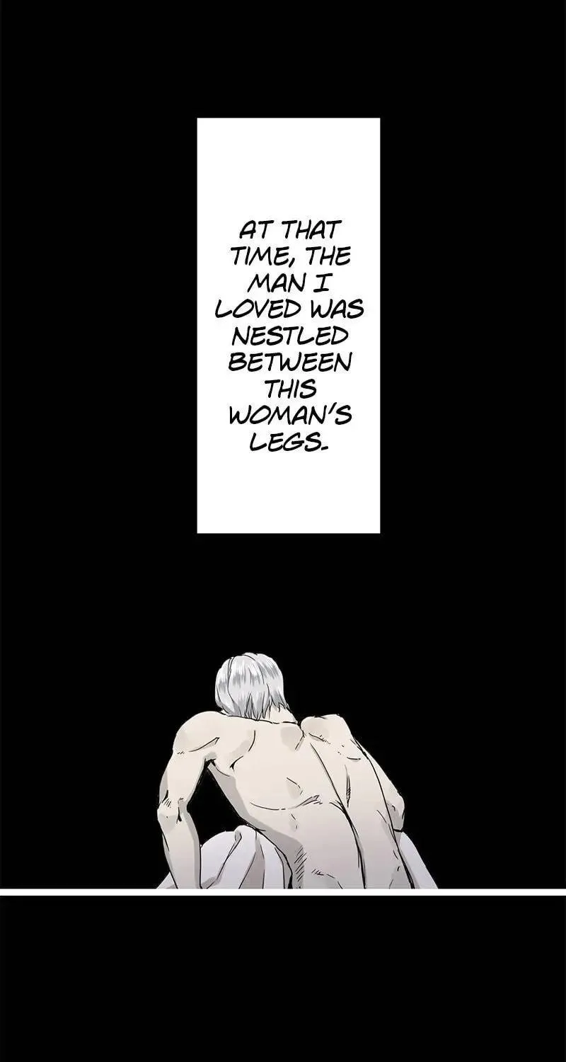 Nullitas ~The Counterfeit Bride~ Chapter 11 page 28 - 