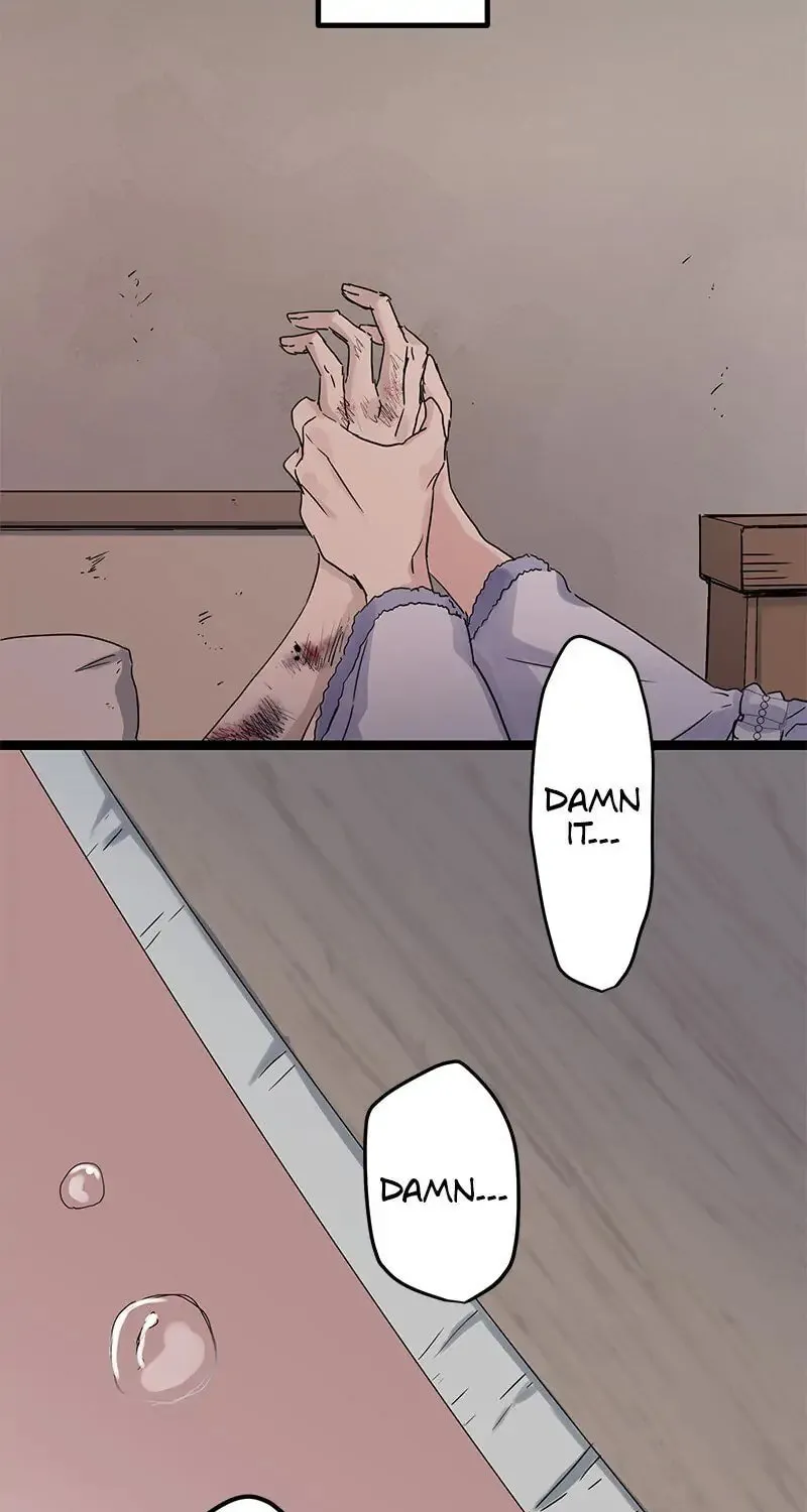 Nullitas ~The Counterfeit Bride~ Chapter 11 page 79 - 