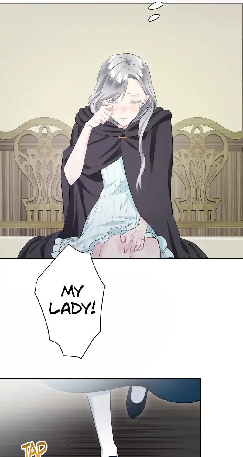 Nullitas ~The Counterfeit Bride~ Chapter 110 page 45 - 