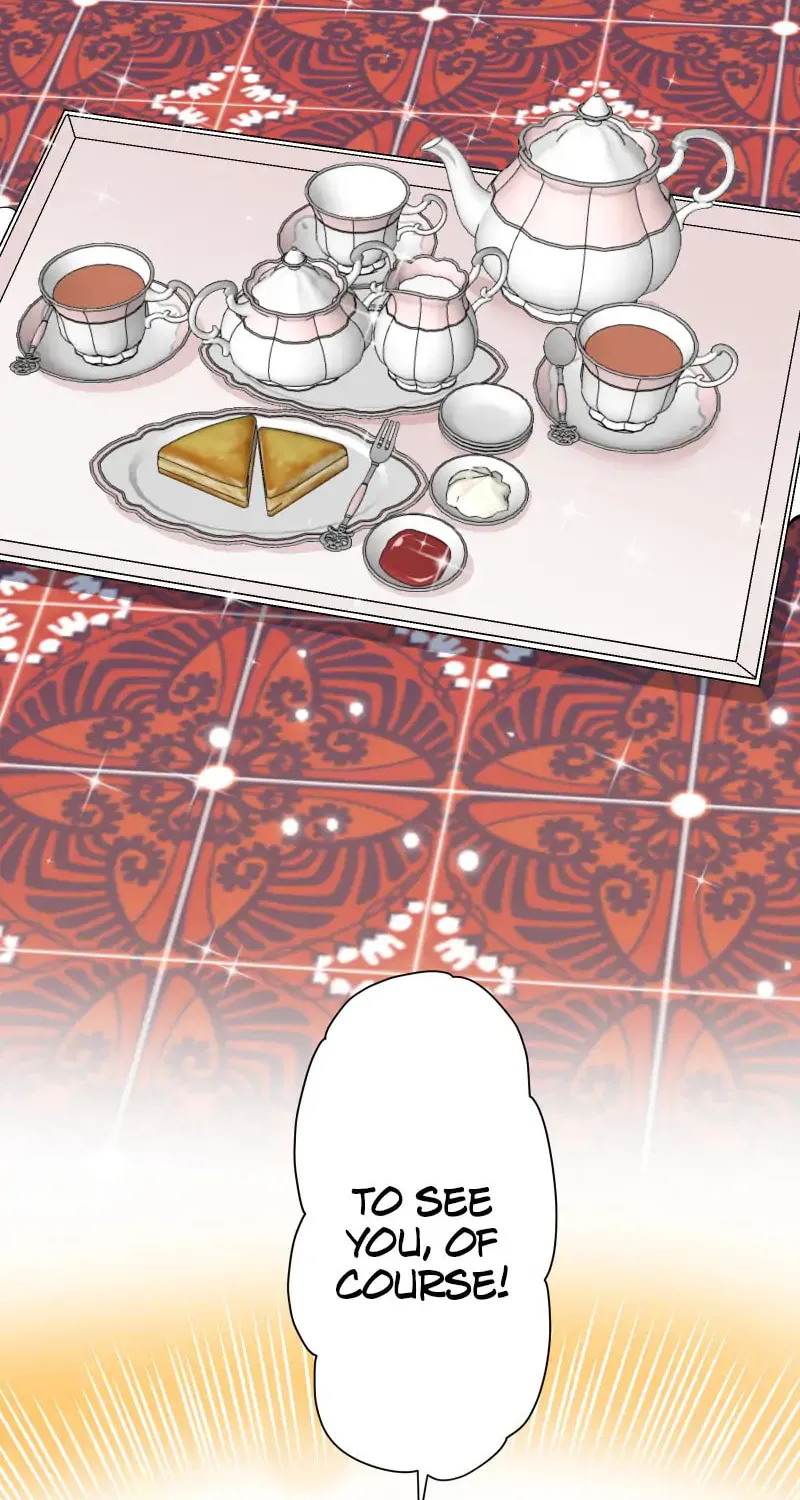 Nullitas ~The Counterfeit Bride~ Chapter 114 page 11 - 