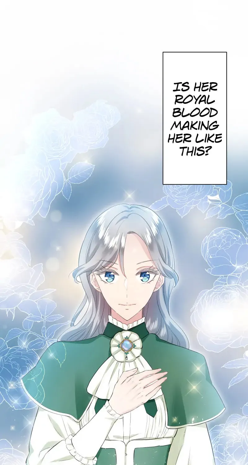 Nullitas ~The Counterfeit Bride~ Chapter 114 page 45 - 