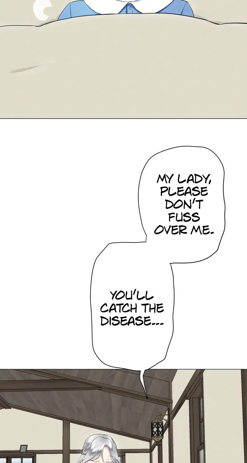 Nullitas ~The Counterfeit Bride~ Chapter 116 page 46 - 