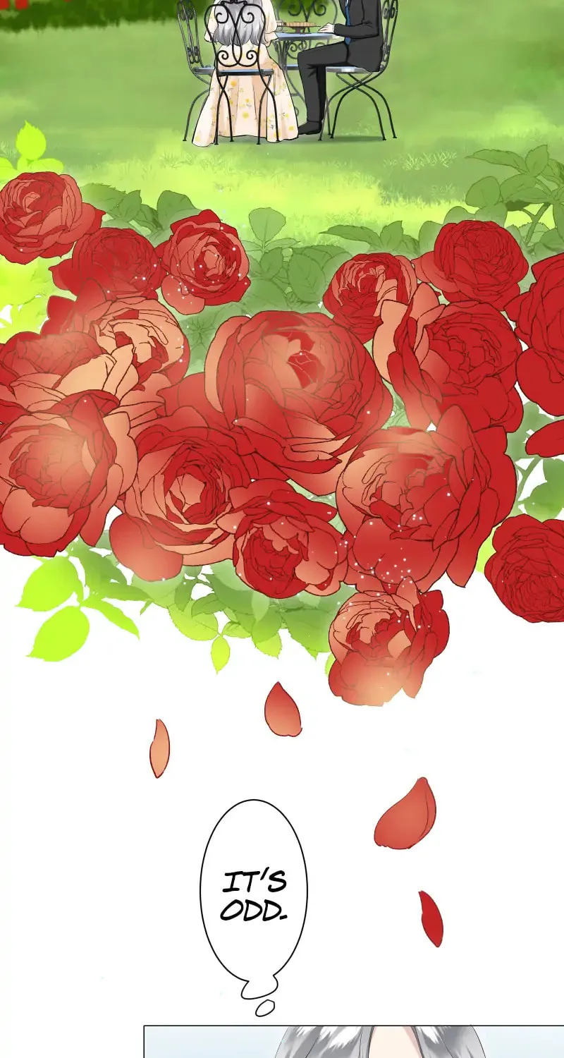 Nullitas ~The Counterfeit Bride~ Chapter 117 page 23 - 