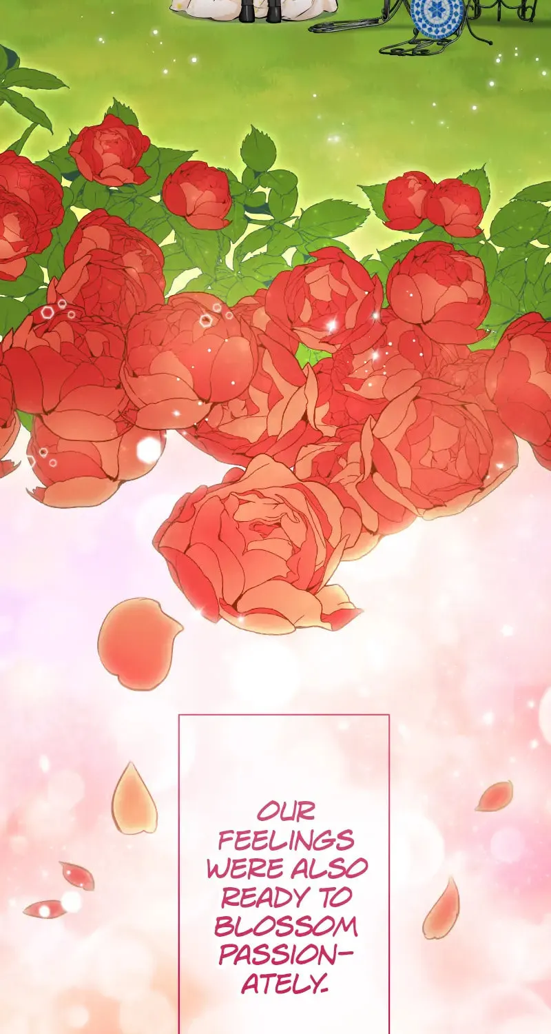 Nullitas ~The Counterfeit Bride~ Chapter 117 page 59 - 