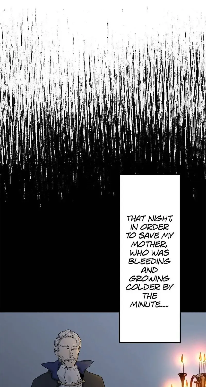Nullitas ~The Counterfeit Bride~ Chapter 12 page 12 - 