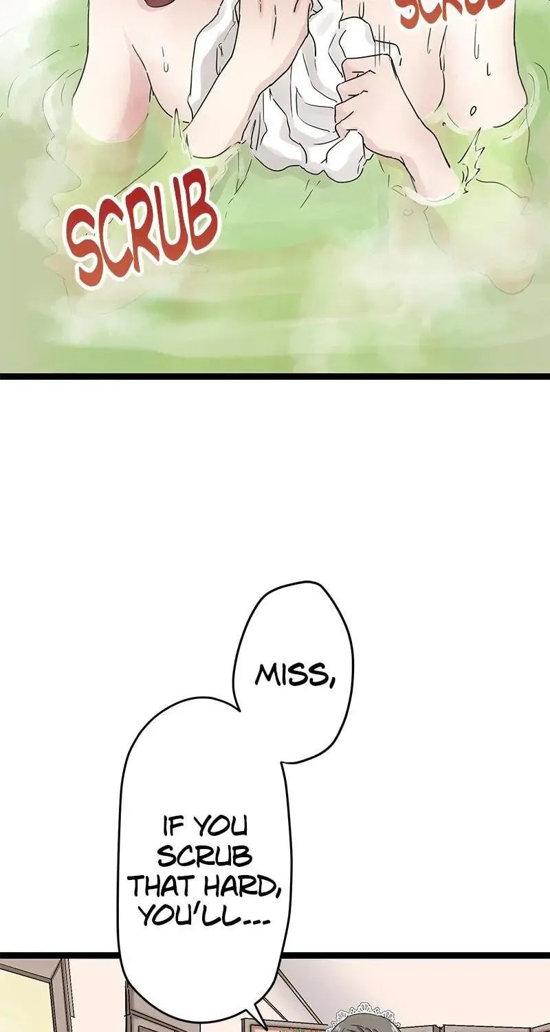 Nullitas ~The Counterfeit Bride~ Chapter 12 page 92 - 