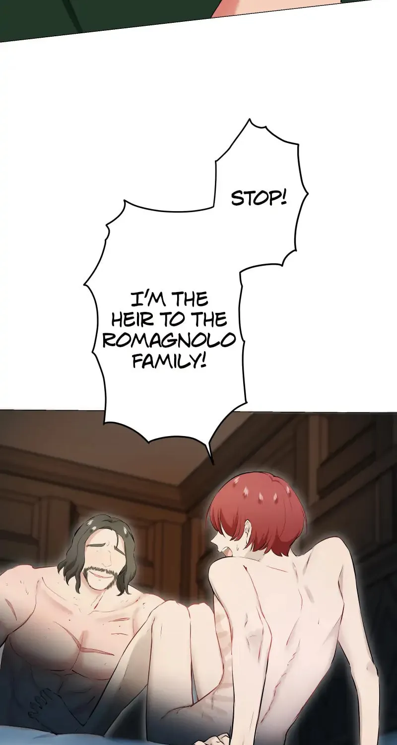 Nullitas ~The Counterfeit Bride~ Chapter 127 page 12 - 