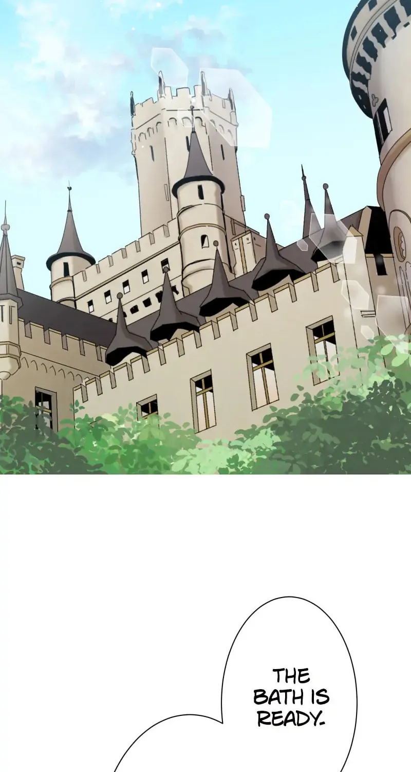 Nullitas ~The Counterfeit Bride~ Chapter 127 page 42 - 