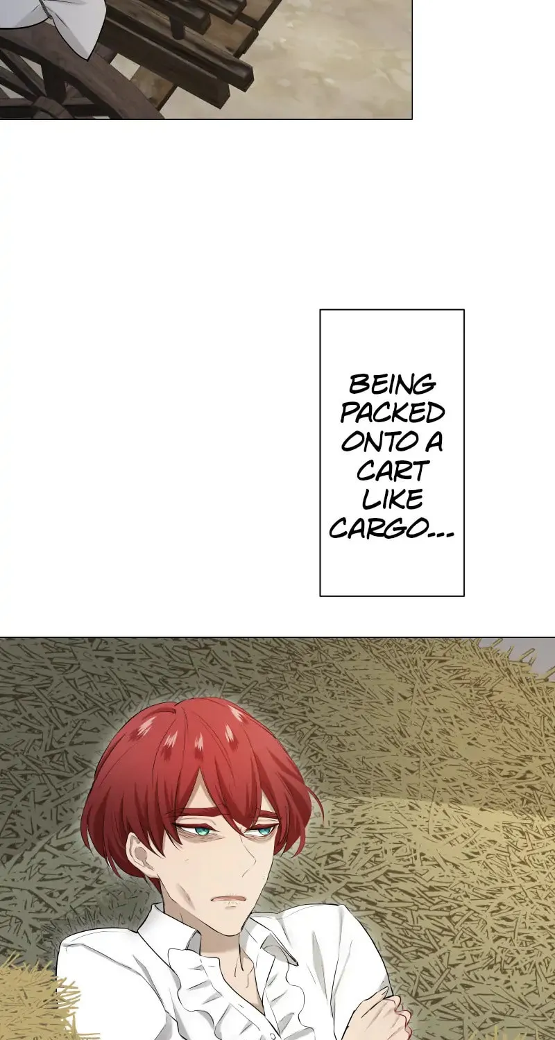 Nullitas ~The Counterfeit Bride~ Chapter 129 page 48 - 