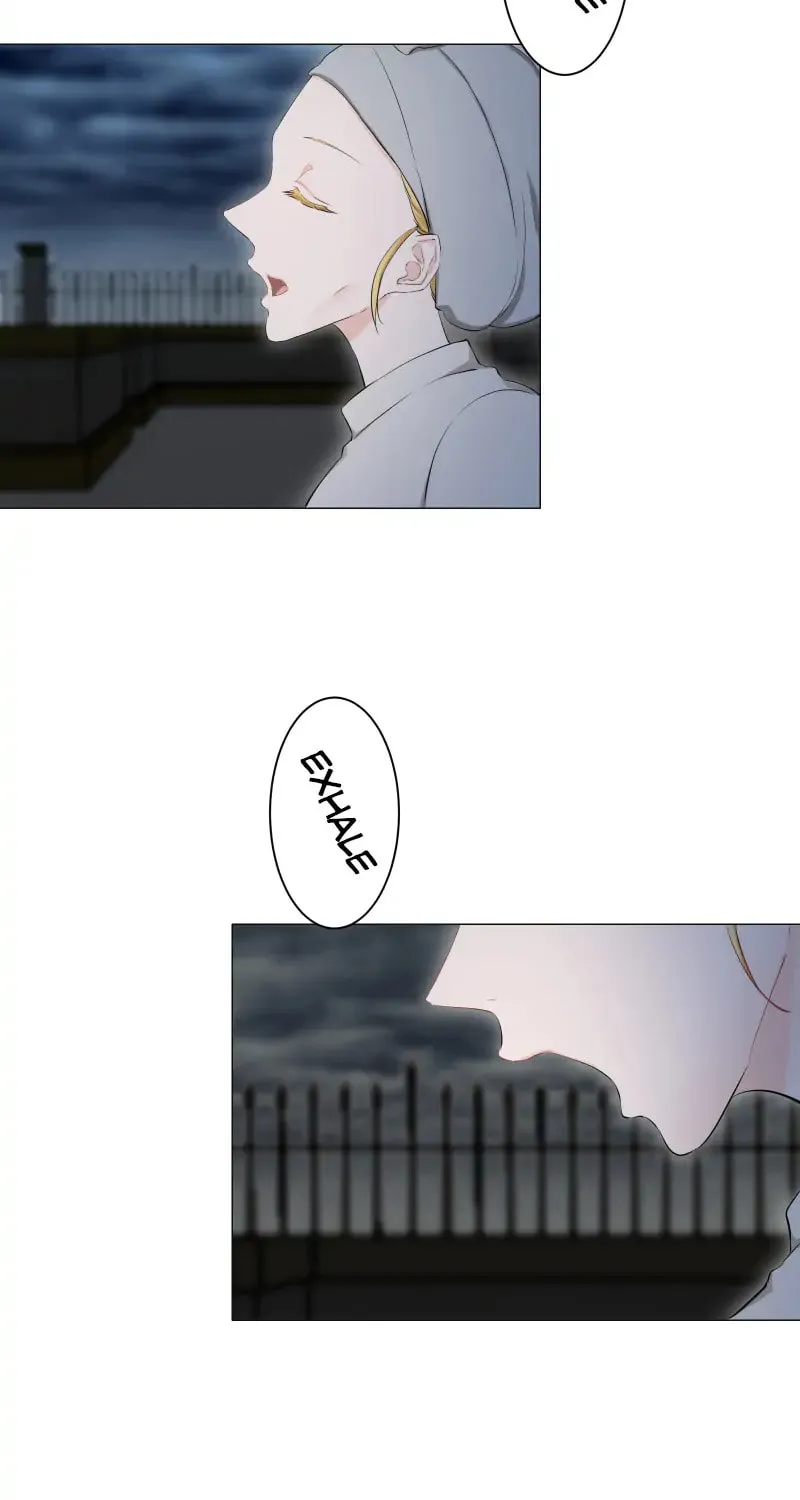 Nullitas ~The Counterfeit Bride~ Chapter 132 page 45 - 