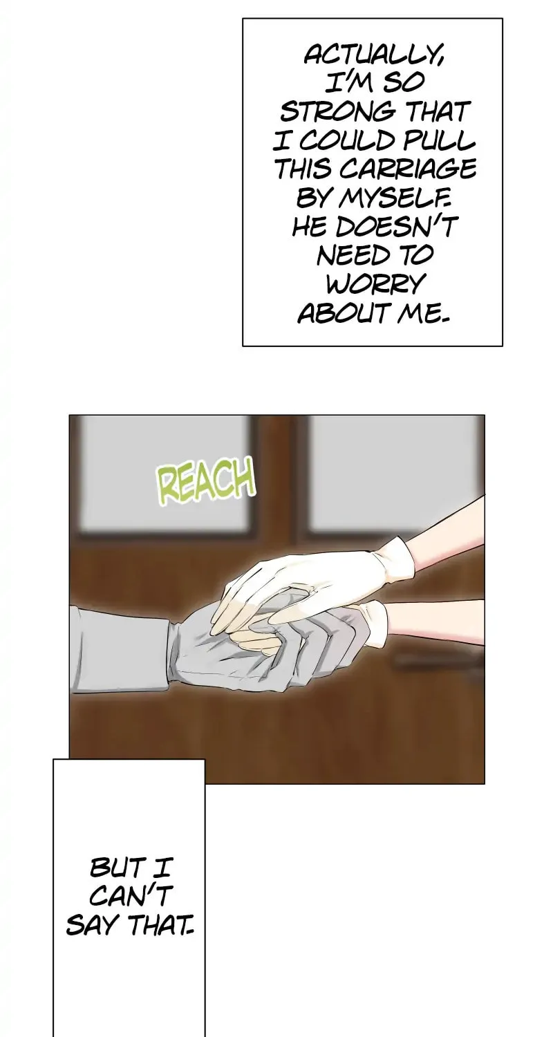Nullitas ~The Counterfeit Bride~ Chapter 134 page 33 - 