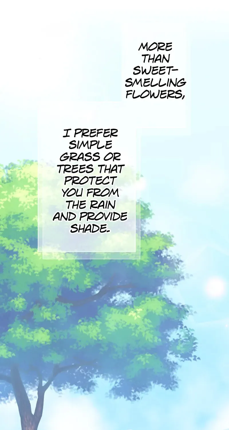 Nullitas ~The Counterfeit Bride~ Chapter 135 page 1 - 