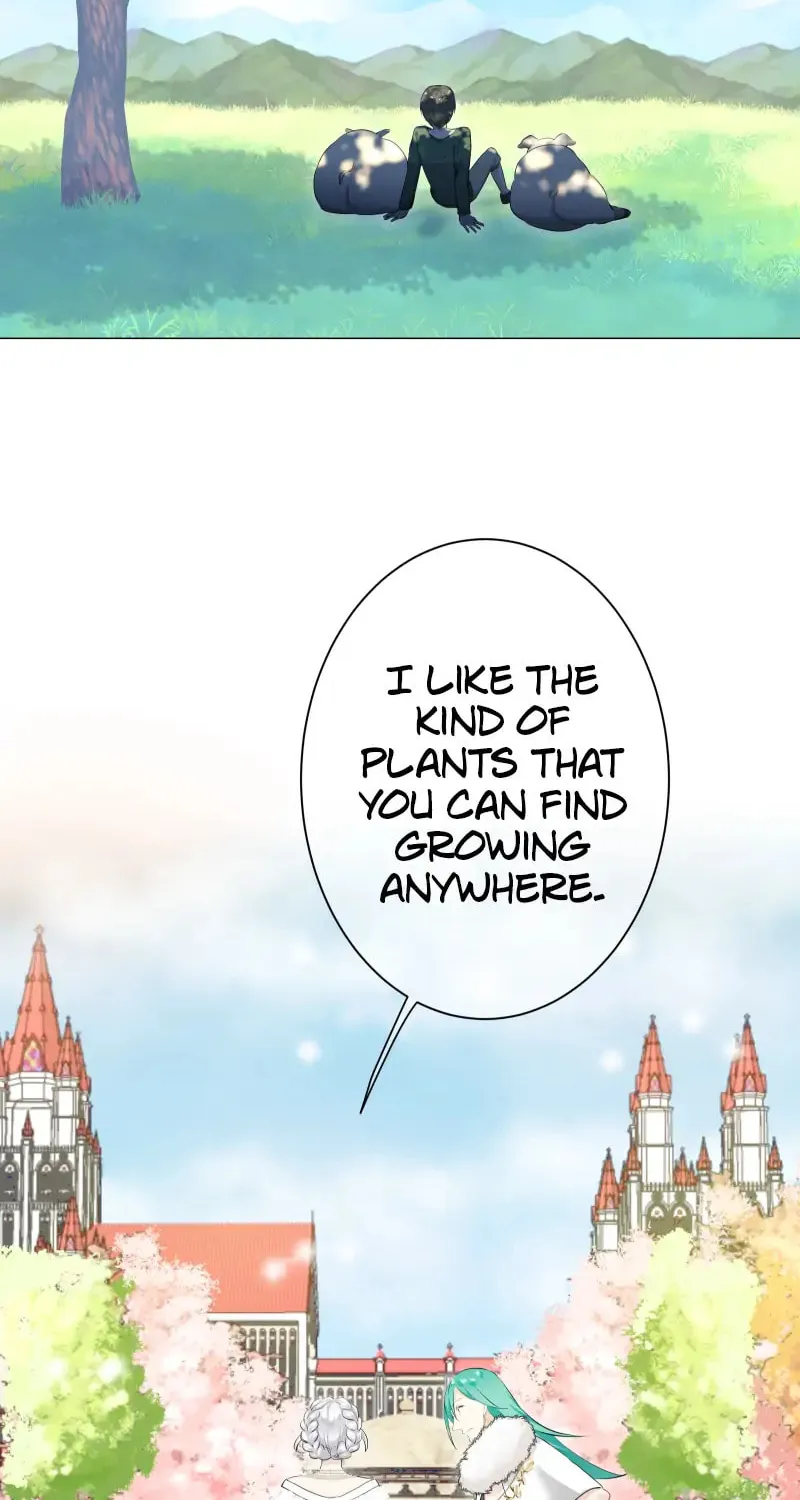 Nullitas ~The Counterfeit Bride~ Chapter 135 page 2 - 