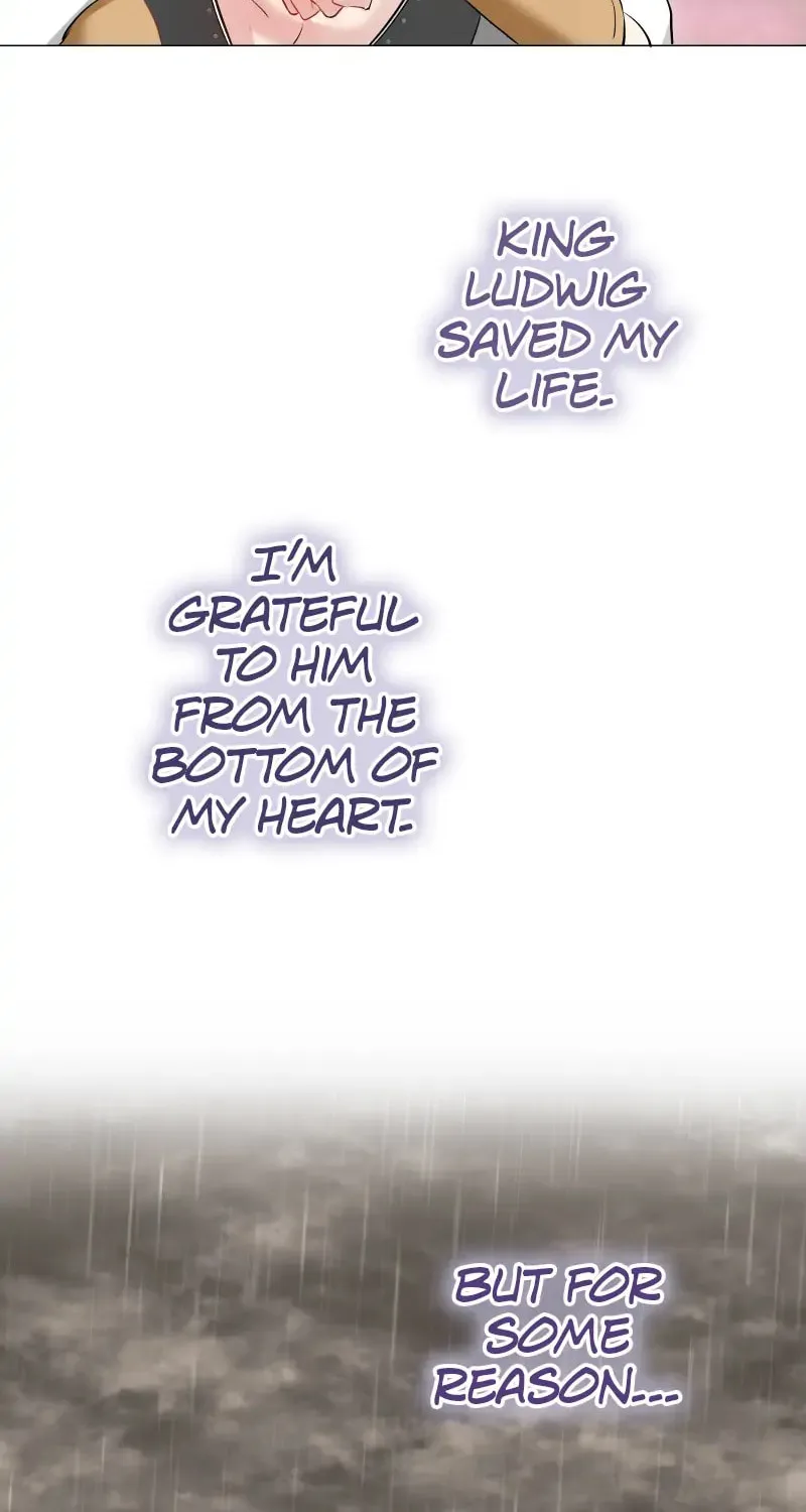 Nullitas ~The Counterfeit Bride~ Chapter 135 page 23 - 