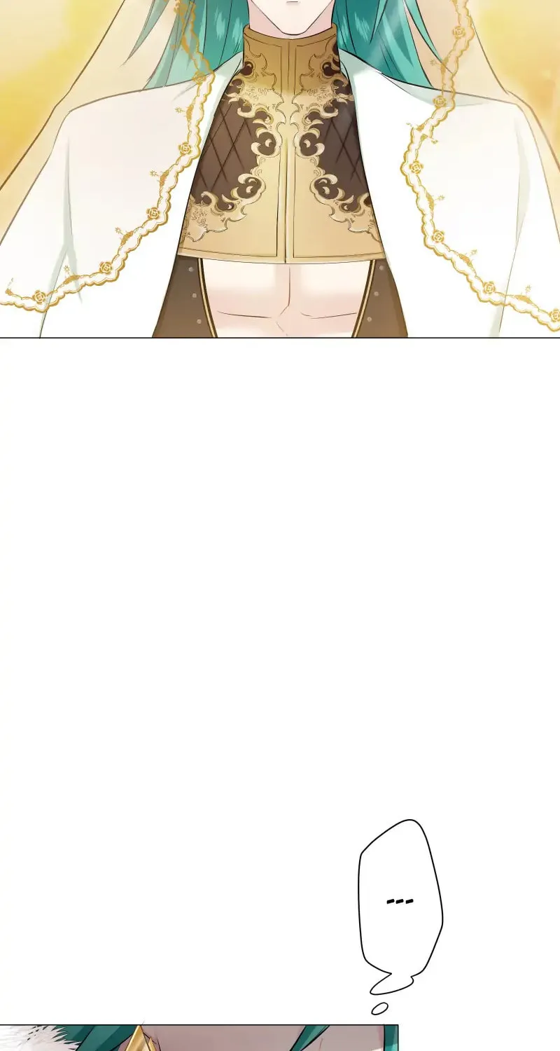 Nullitas ~The Counterfeit Bride~ Chapter 135 page 36 - 
