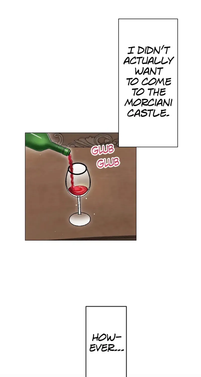 Nullitas ~The Counterfeit Bride~ Chapter 136 page 13 - 