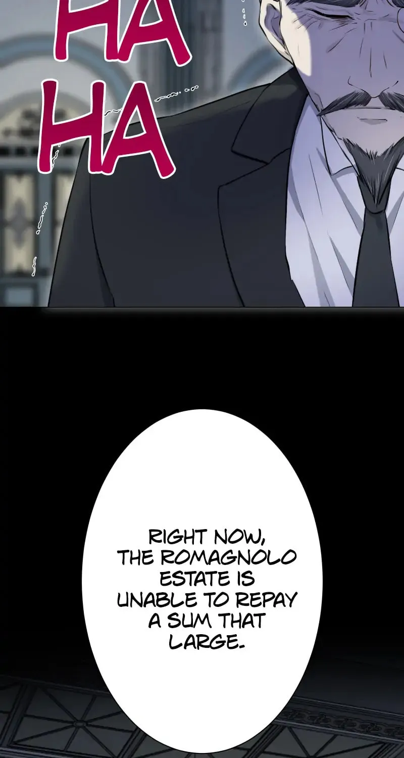 Nullitas ~The Counterfeit Bride~ Chapter 136 page 33 - 