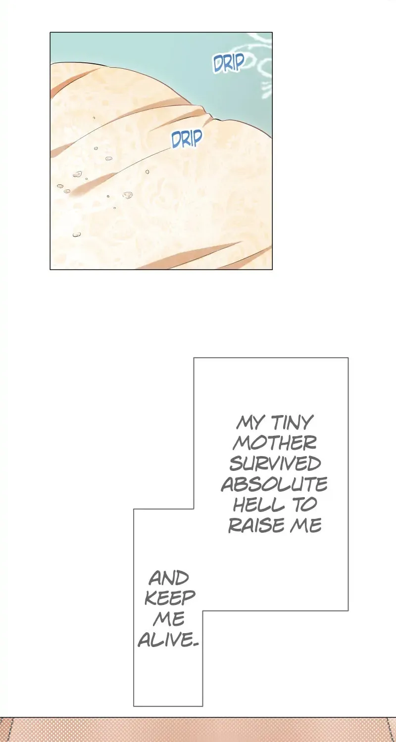 Nullitas ~The Counterfeit Bride~ Chapter 136 page 57 - 