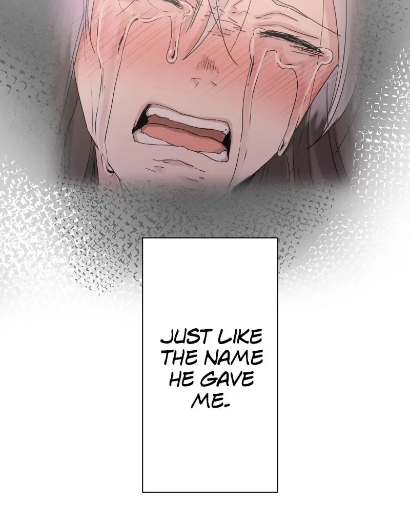 Nullitas ~The Counterfeit Bride~ Chapter 139 page 52 - 