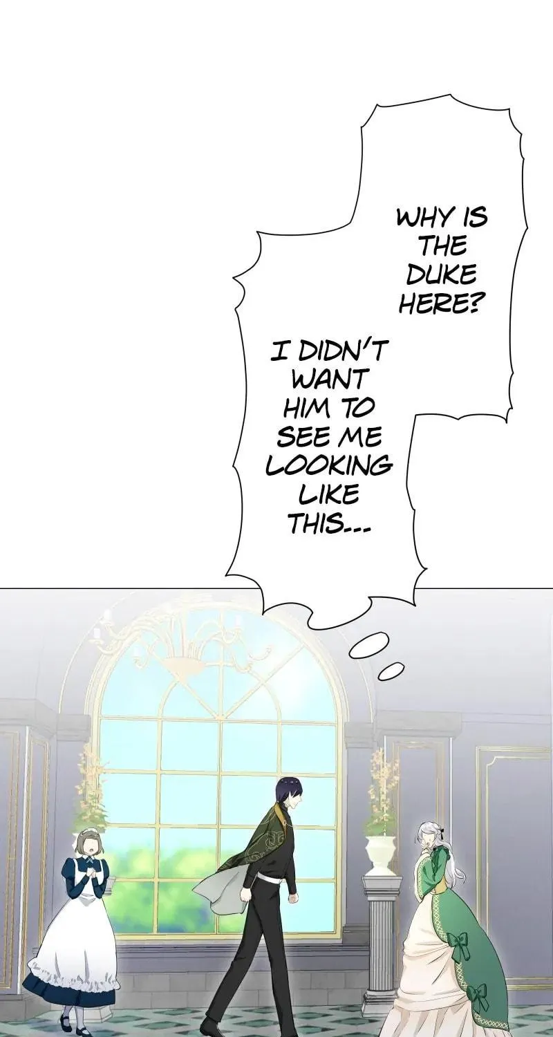 Nullitas ~The Counterfeit Bride~ Chapter 139 page 62 - 