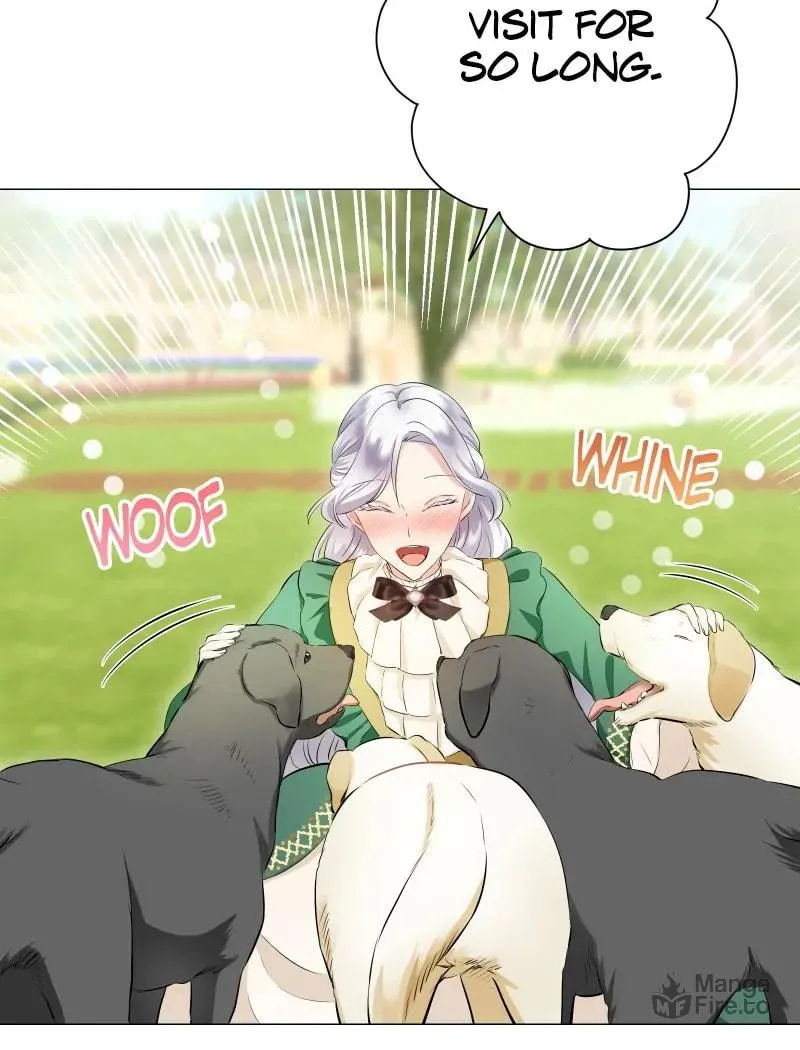 Nullitas ~The Counterfeit Bride~ Chapter 139 page 70 - 