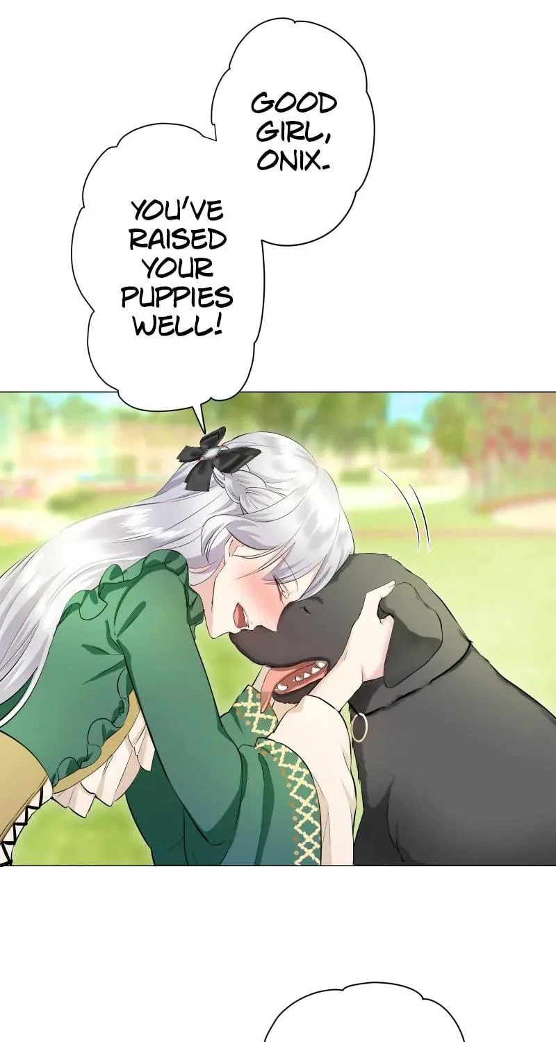 Nullitas ~The Counterfeit Bride~ Chapter 139 page 71 - 