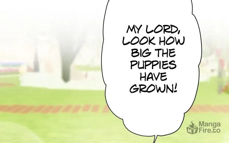 Nullitas ~The Counterfeit Bride~ Chapter 139 page 72 - 