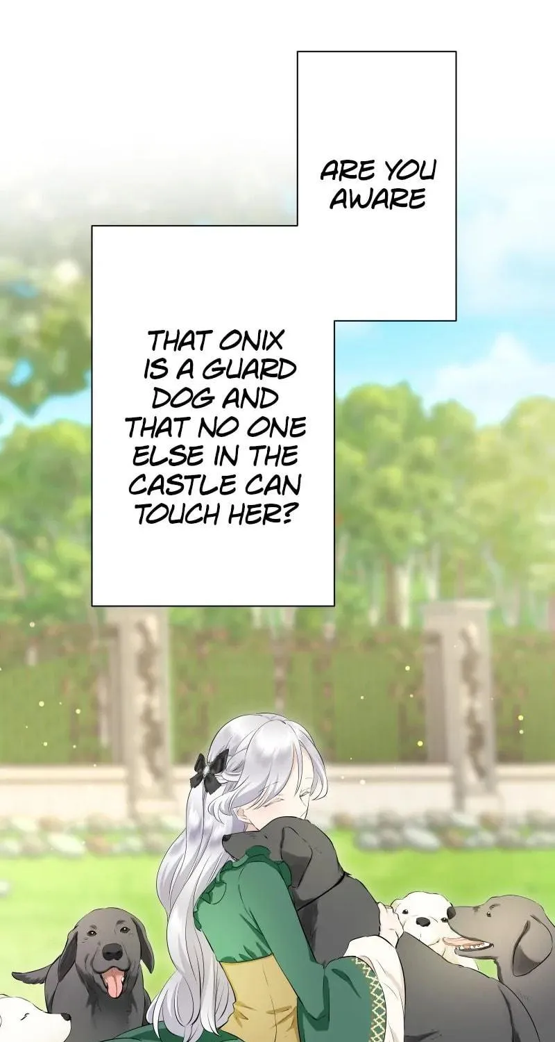 Nullitas ~The Counterfeit Bride~ Chapter 139 page 75 - 