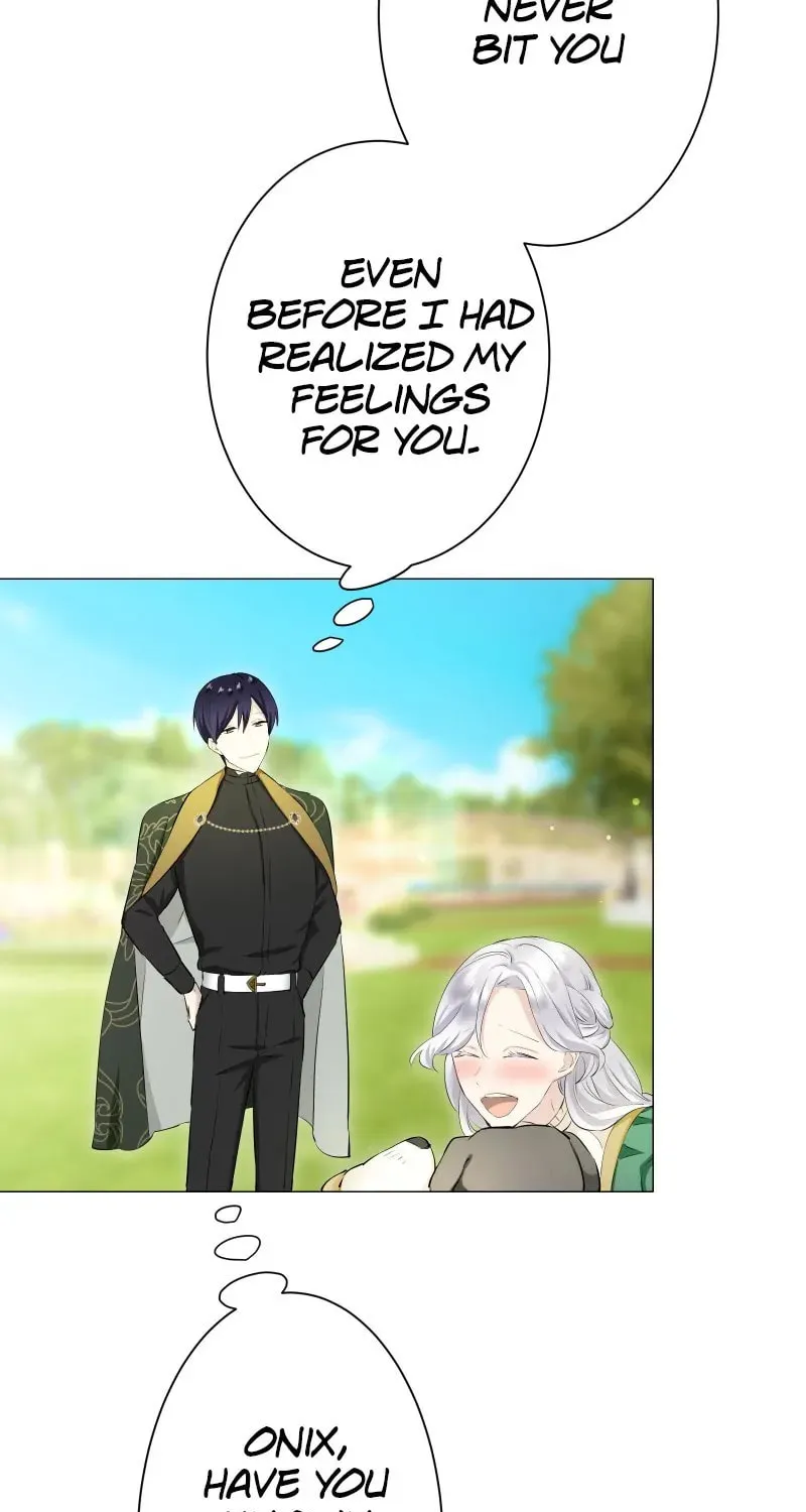 Nullitas ~The Counterfeit Bride~ Chapter 139 page 77 - 