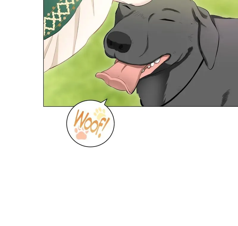 Nullitas ~The Counterfeit Bride~ Chapter 139 page 79 - 