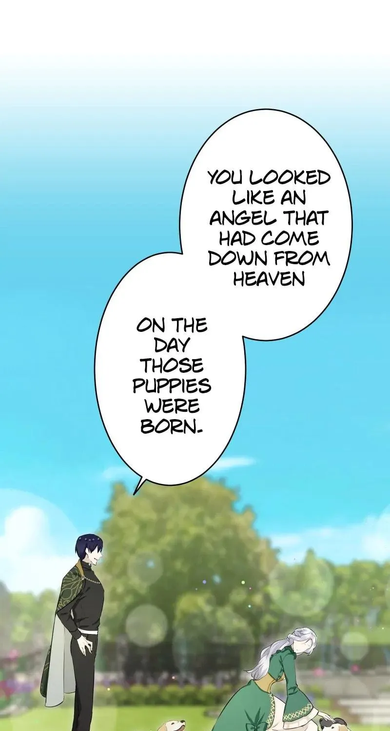 Nullitas ~The Counterfeit Bride~ Chapter 139 page 80 - 