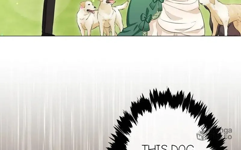 Nullitas ~The Counterfeit Bride~ Chapter 139 page 81 - 