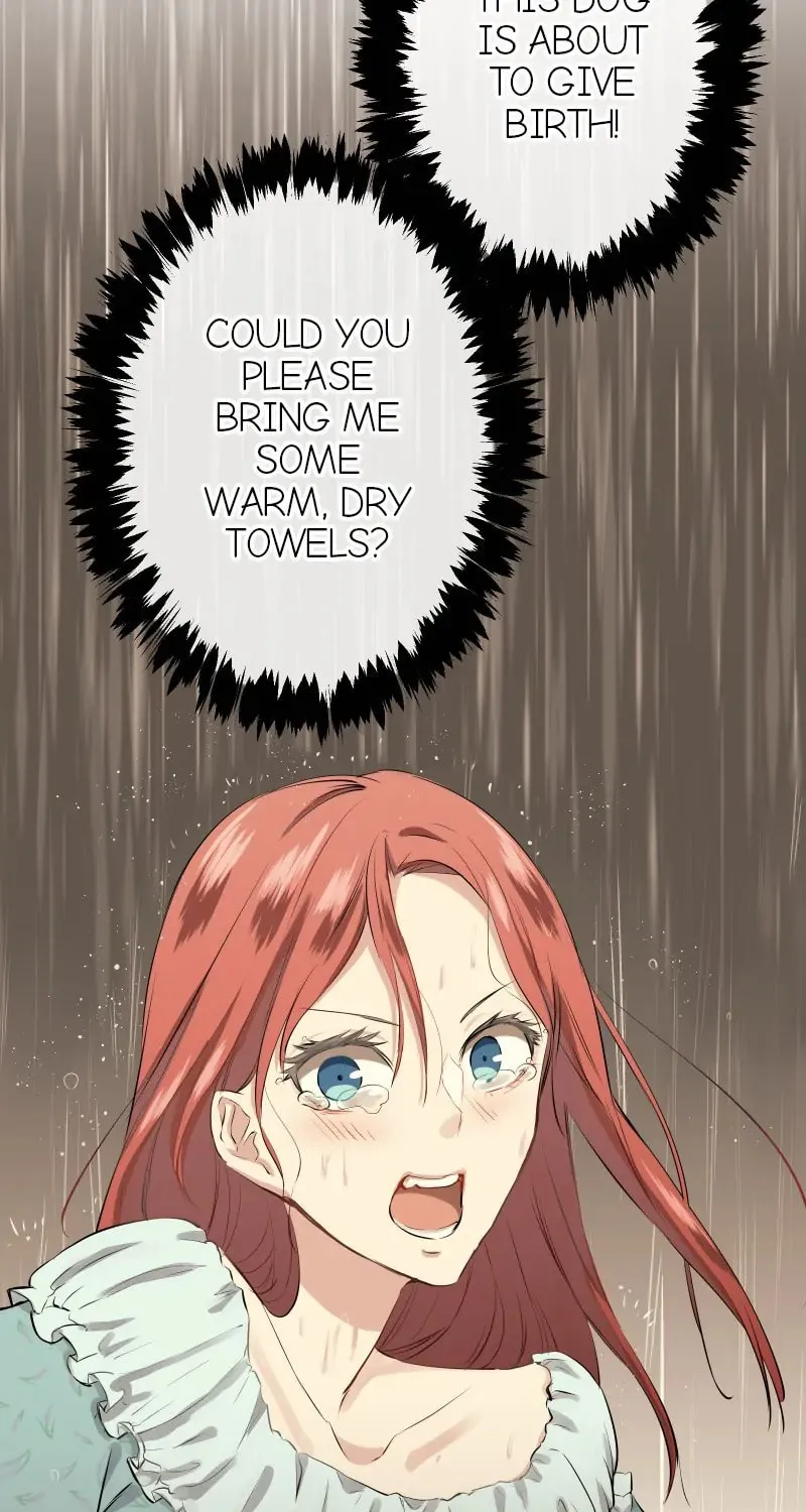 Nullitas ~The Counterfeit Bride~ Chapter 139 page 82 - 