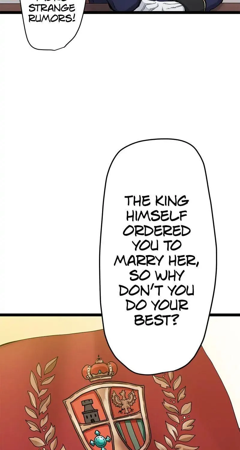 Nullitas ~The Counterfeit Bride~ Chapter 14 page 17 - 