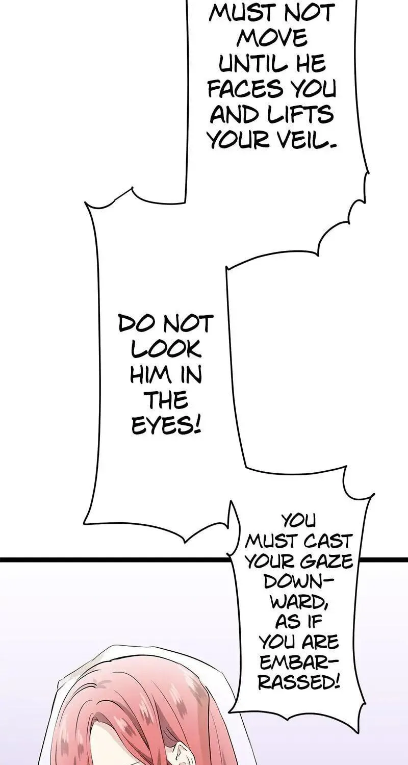 Nullitas ~The Counterfeit Bride~ Chapter 14 page 61 - 