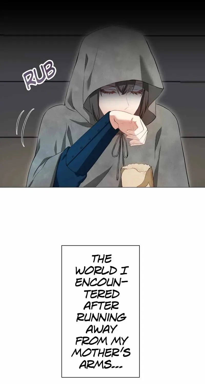Nullitas ~The Counterfeit Bride~ Chapter 141 page 13 - 