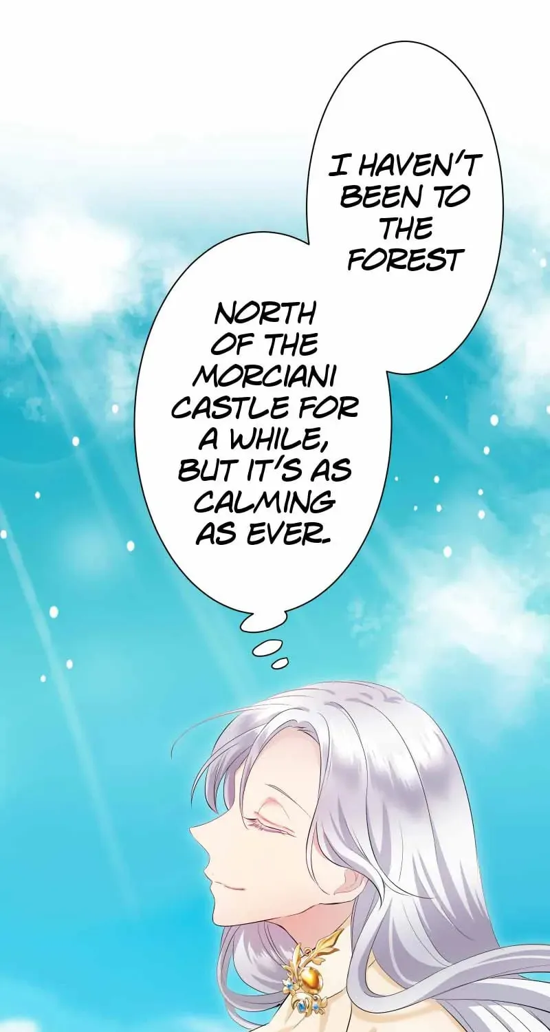 Nullitas ~The Counterfeit Bride~ Chapter 141 page 30 - 