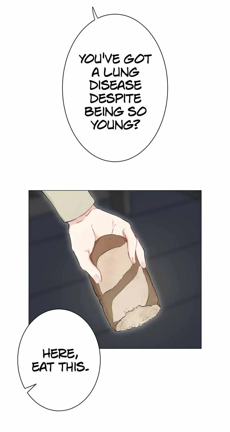 Nullitas ~The Counterfeit Bride~ Chapter 141 page 7 - 