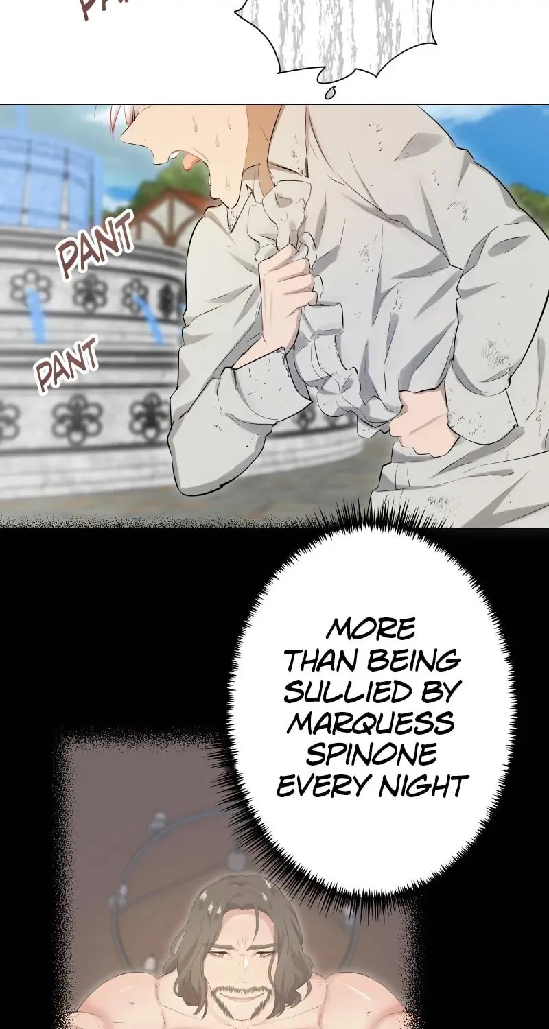 Nullitas ~The Counterfeit Bride~ Chapter 144 page 41 - 
