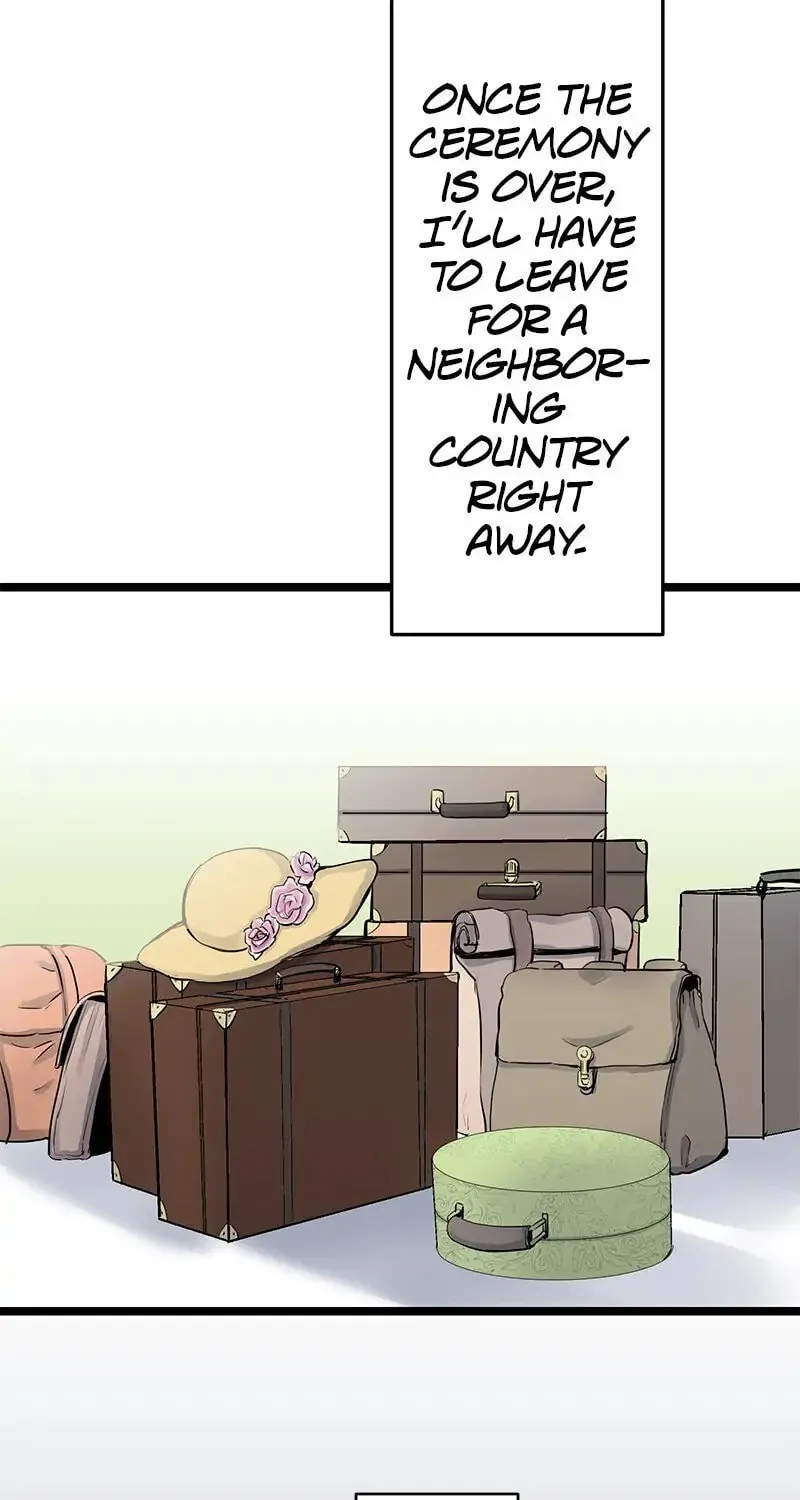 Nullitas ~The Counterfeit Bride~ Chapter 15 page 3 - 