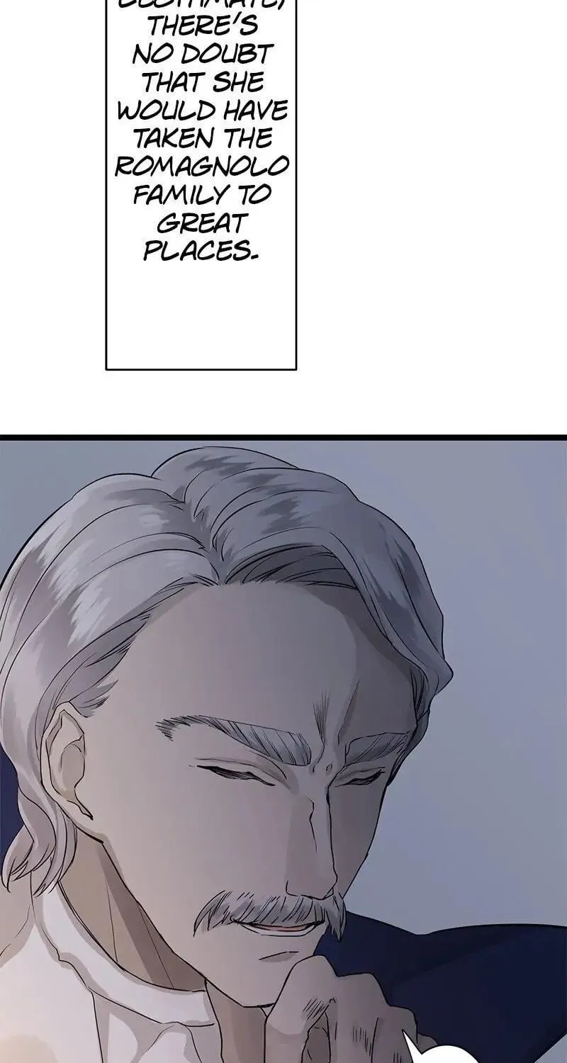 Nullitas ~The Counterfeit Bride~ Chapter 15 page 45 - 