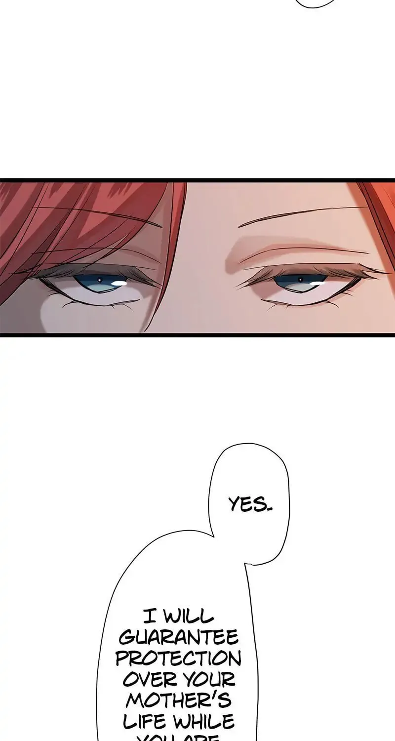 Nullitas ~The Counterfeit Bride~ Chapter 15 page 47 - 