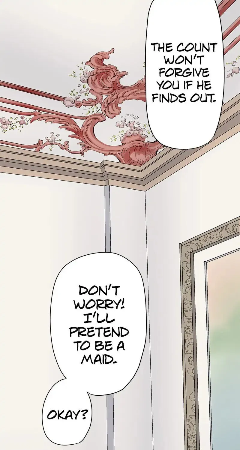 Nullitas ~The Counterfeit Bride~ Chapter 15 page 7 - 